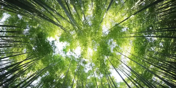 sustainable2
